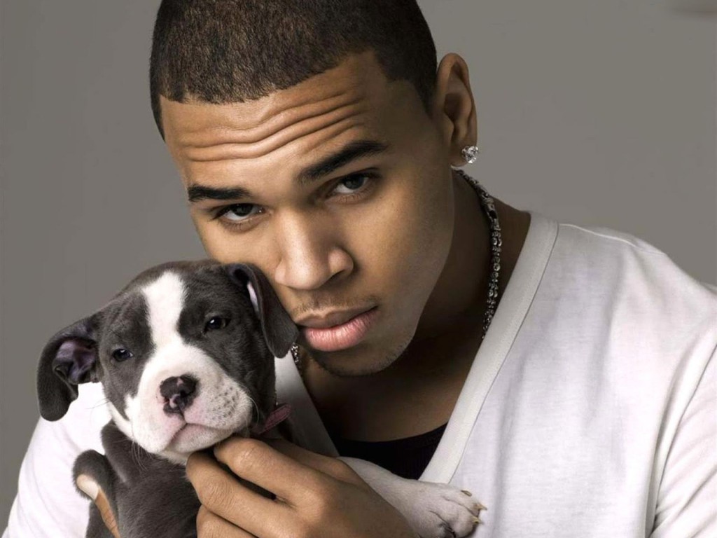rooster_Chris-Brown