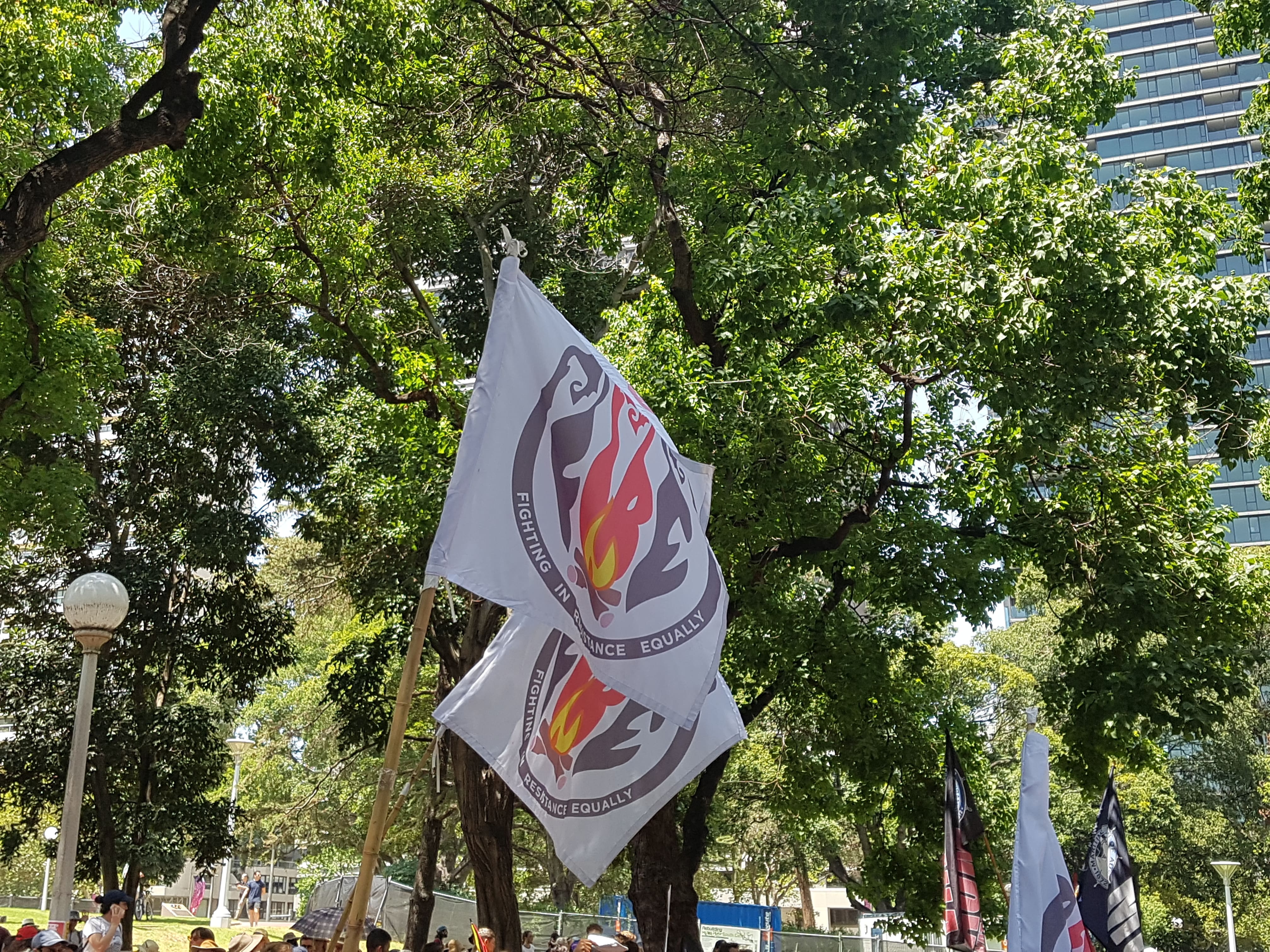 Flags from FIRE (Fighting In Resistance Equally) fly high over the rally. 