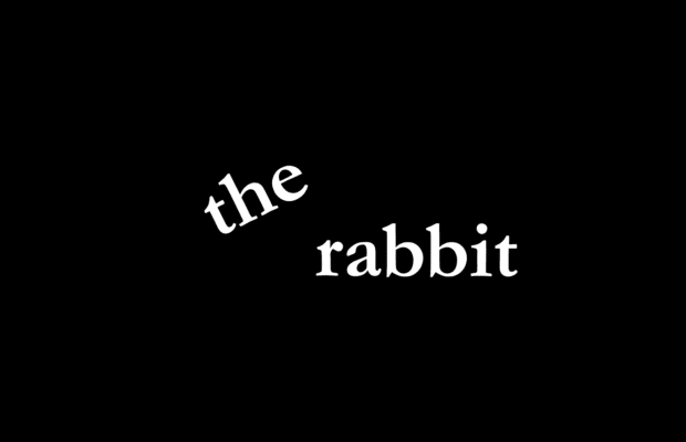the rabbit