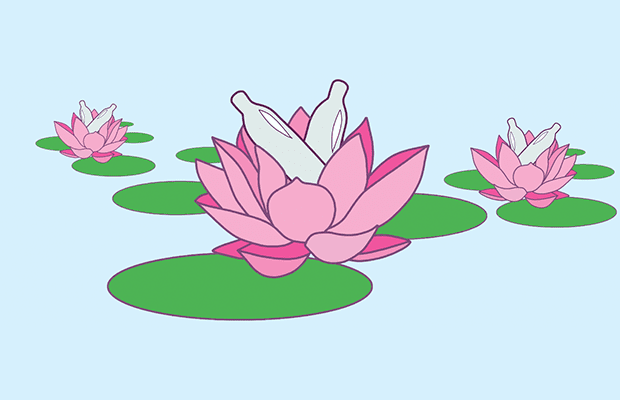 three pink lotuses with nangs nestled inside them