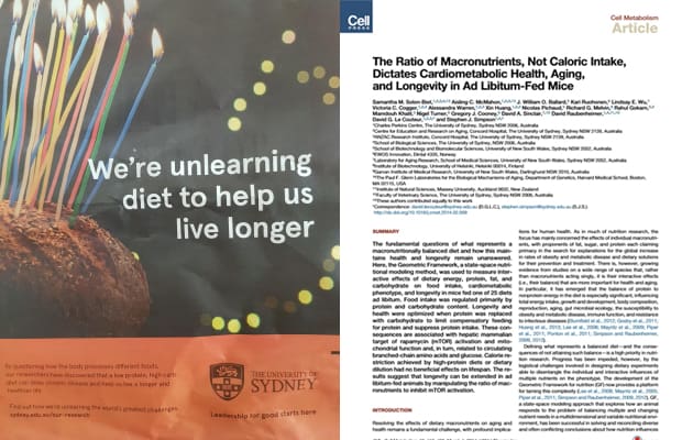 Sydney morning herald full page unlearn advertisement and picture of the paper from the study