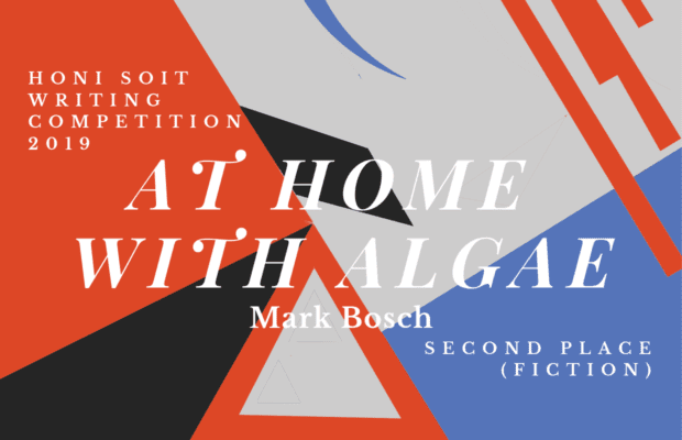 An abstract background of red, black, grey and blue, with triangles, lines and crescents. The main text says "At home with algae."