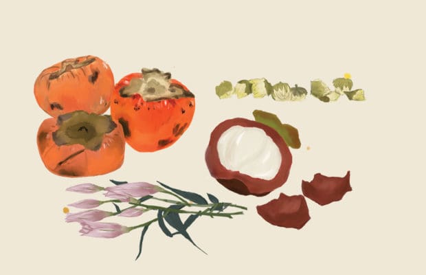 Persimmons, chrysanthemum buds, lilies and mangosteens