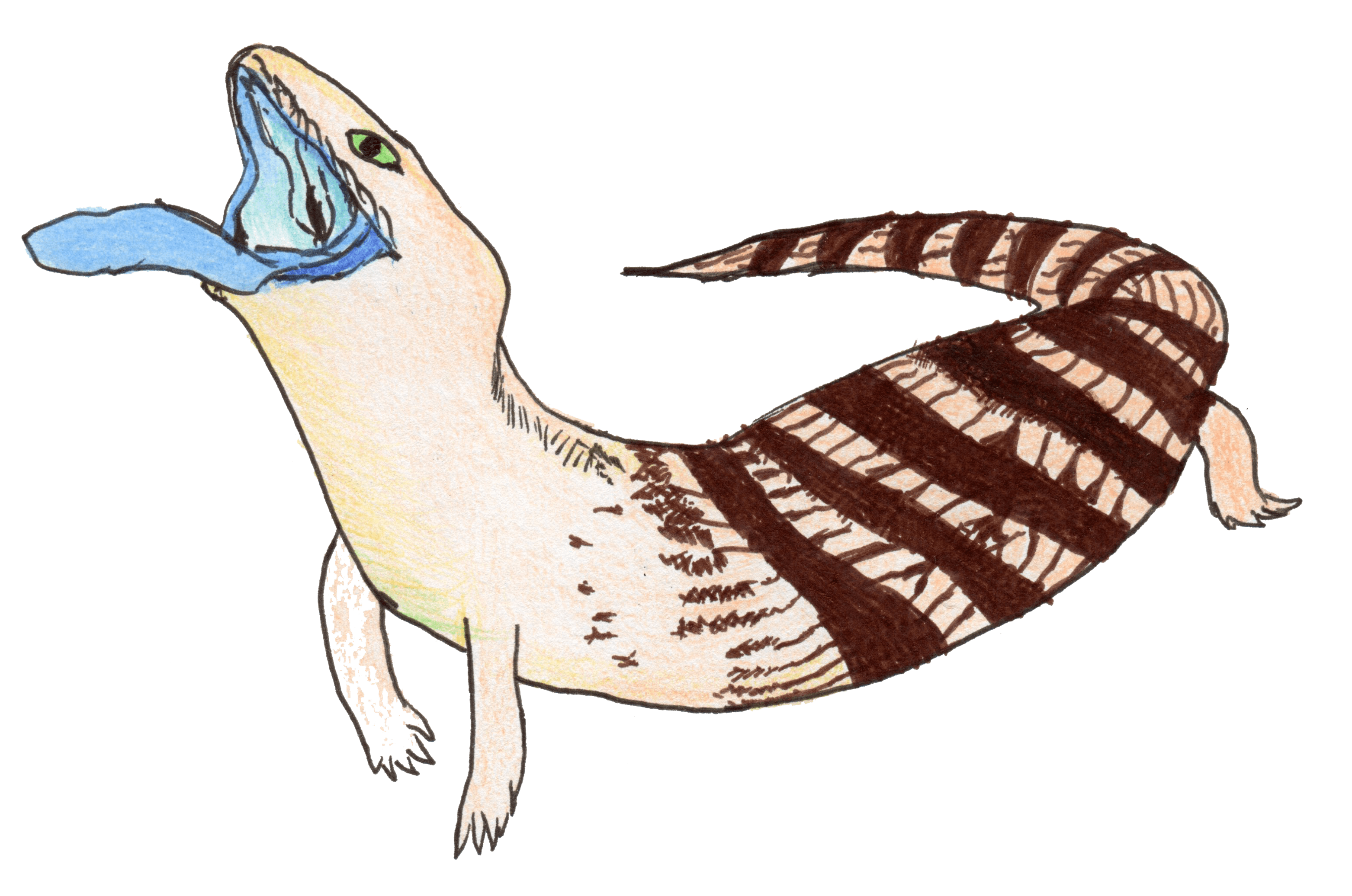 blue tongue lizard cartoon clipart